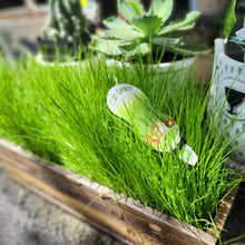 Load image into Gallery viewer, Cat lover’s set