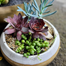 Load image into Gallery viewer, Succulent Bowl