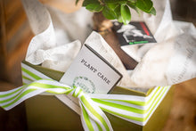 Load image into Gallery viewer, Bonsai gift set