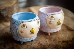 1 Designer pot-bird