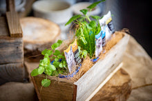 Load image into Gallery viewer, Cat lover’s set