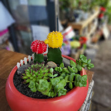 Load image into Gallery viewer, Succulent Bowl