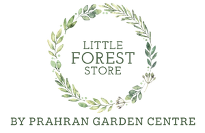 Little Forest S