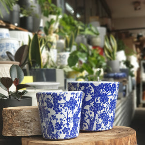 Blue blooms pots