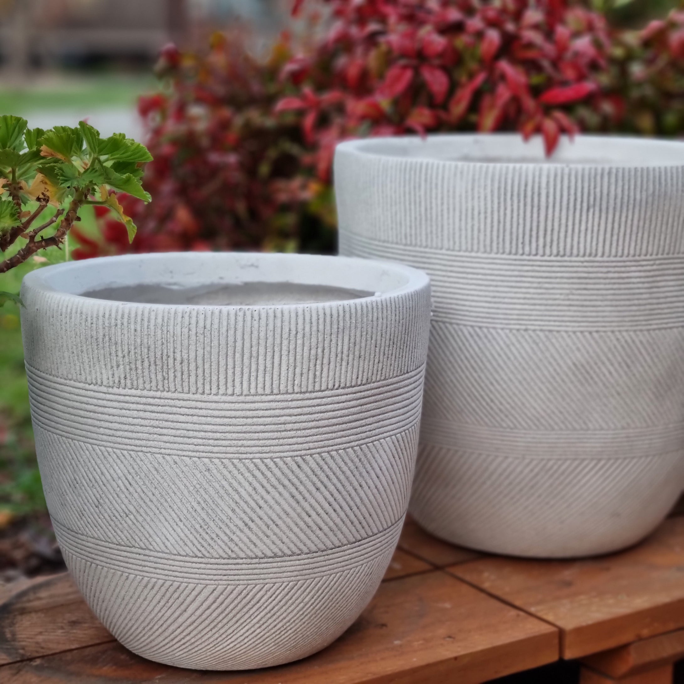 Terracotta Egg Pot – Northcote Pottery