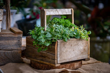 Load image into Gallery viewer, Rustic Herb box
