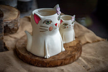 Load image into Gallery viewer, 1 Designer pot-Cat
