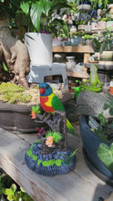 Load and play video in Gallery viewer, Singing lorikeet(Stand type)
