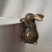 Load image into Gallery viewer, Bunny Pot Hanger
