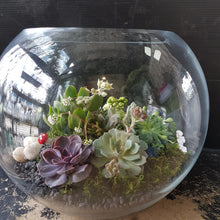 Load image into Gallery viewer, Terrarium
